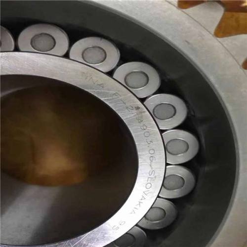 Double Row Cylindrical Roller Bearing (3282160/NN3060)