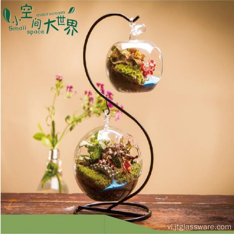 Trang trí nhà bằng kính Terrarium có đế