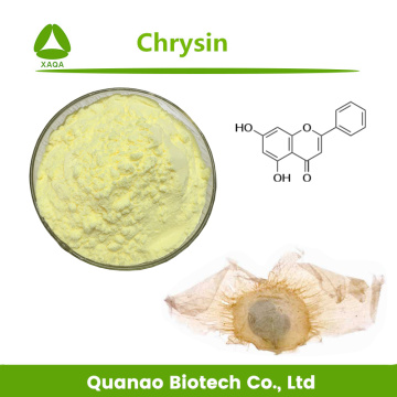 OXOXYLUM INDICUM-Extrakt 98% Chrysinpulver-Krebs-Krebs