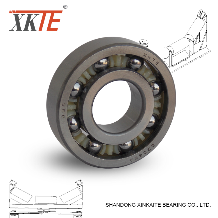 Molded Nylon Cage Idler Roller Bearing 6306KA/TN9