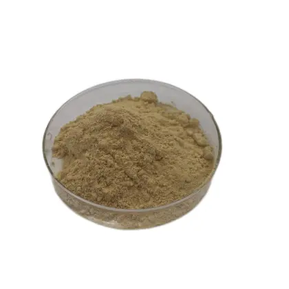 Citrus Extract Synephrine Citrus Aurantium seed Extract