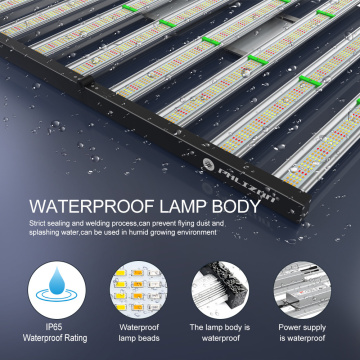 Samsung Lm301b 1000w For Garden Greenhouses