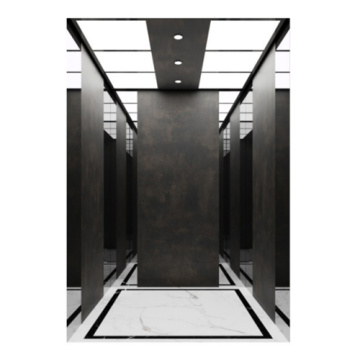 Luxusdesign Passagieraufzug