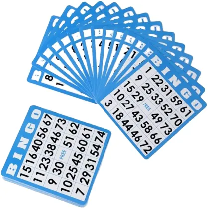 Professional Custom Bingo Cards for Family Game Night
