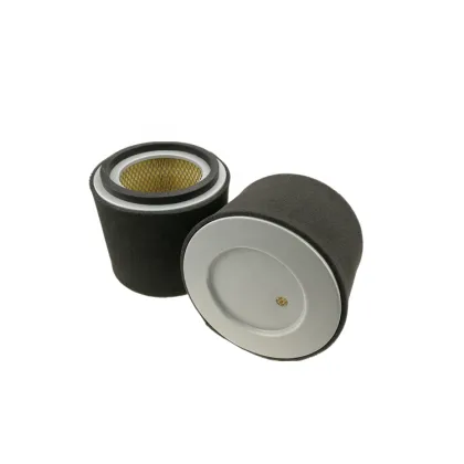 High Quality Air Filter Element 21717211 for Hitachi