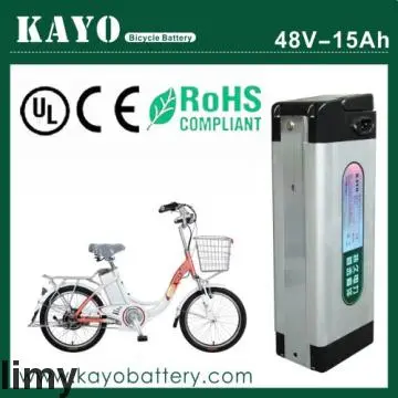 Electric Bike Battery 48V 15Ah with Charger