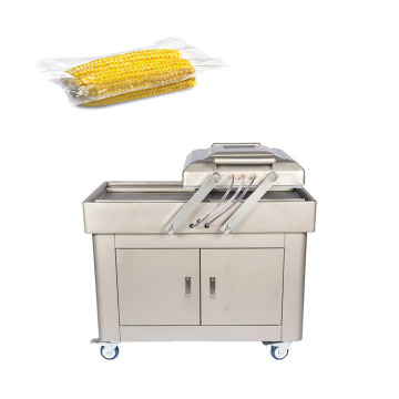 DZ-500/2 Double Chamber Vacuum Machine