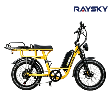 Fat Tire Cargo Electric Bike