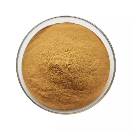 Wholesale Jujube Extract Powder