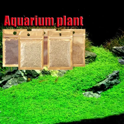 Quality Aquarium Real Aquatic Plants