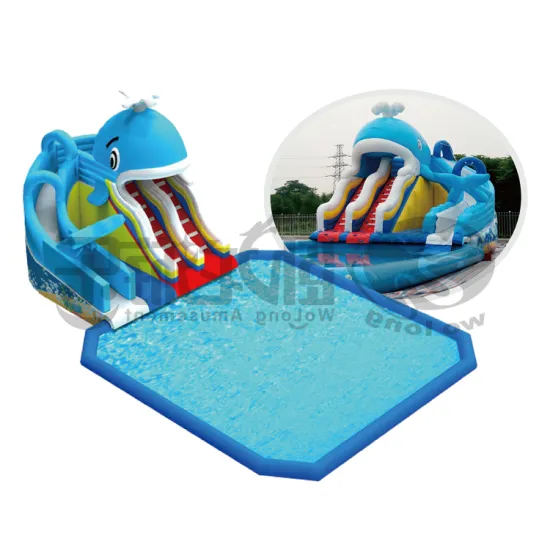 Summer hot selling adult inflatable water park Water Bounce House