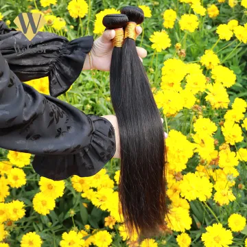 Virgin Brazilian Cuticle Aligned Hair,100% Mink Brazilian Human Hair Vendors,Unprocessed Wholesale Virgin Brazilian Hair Bundles