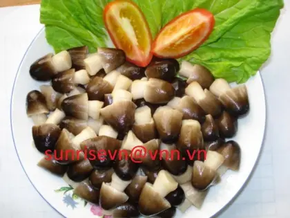 canned straw mushroom
