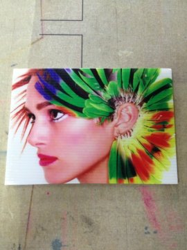 PP/PVC/PVDF Panel Printing Machine (Colorful 1625b)