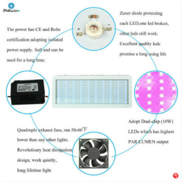 Energy Saving Led Grow Lights Hydroponic Factory