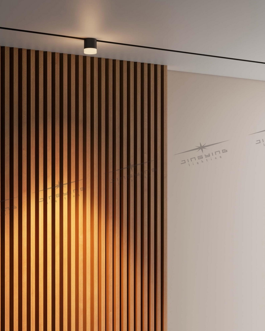 Magnetic Track Light