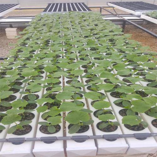 Greenhouse Hydroponics personalizados NFT PVC Tubo