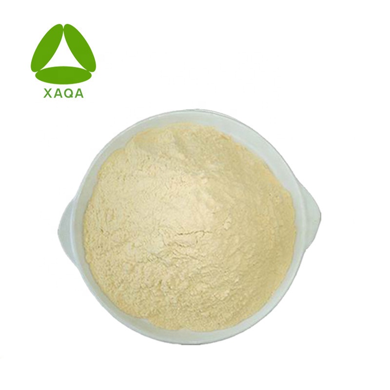 20% Gingerol Powder Ginger Root Extract