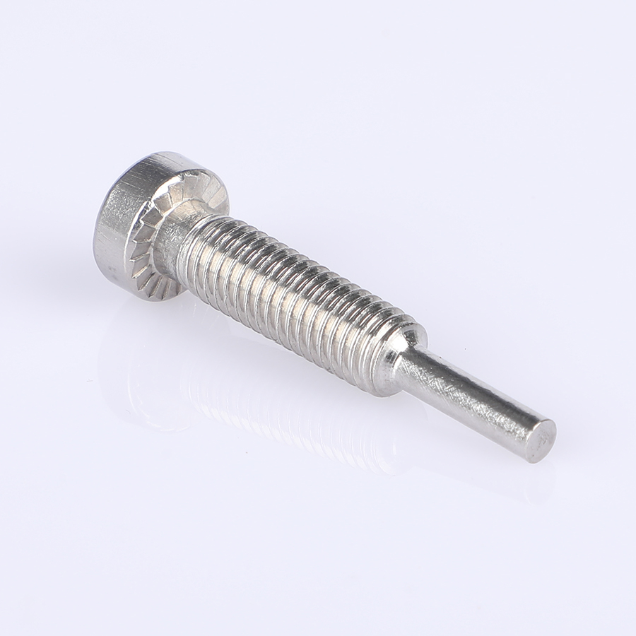 Stainless Steel Hexagon Socket Guide Screws (8)