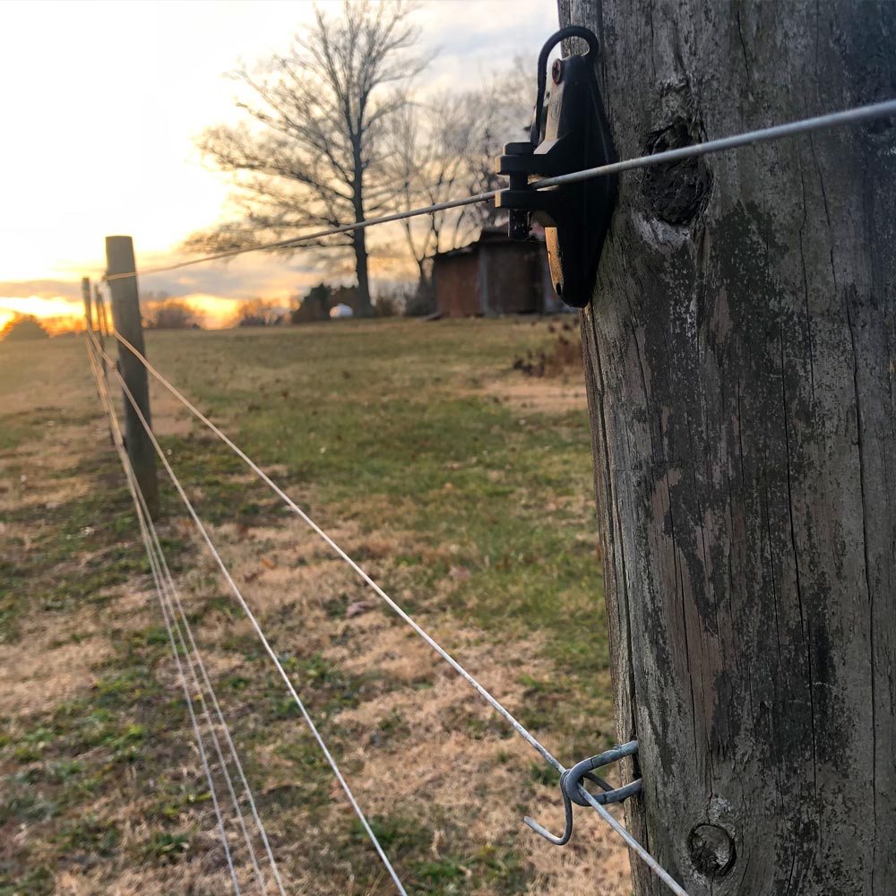 Galvanized 4-Point Barbed Wire