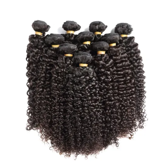 Unprocessed  Remy Hair Bundles Raw Virgin Cuticle Aligned Human Curly Hair Extensions  Malaysian Hair Weaving