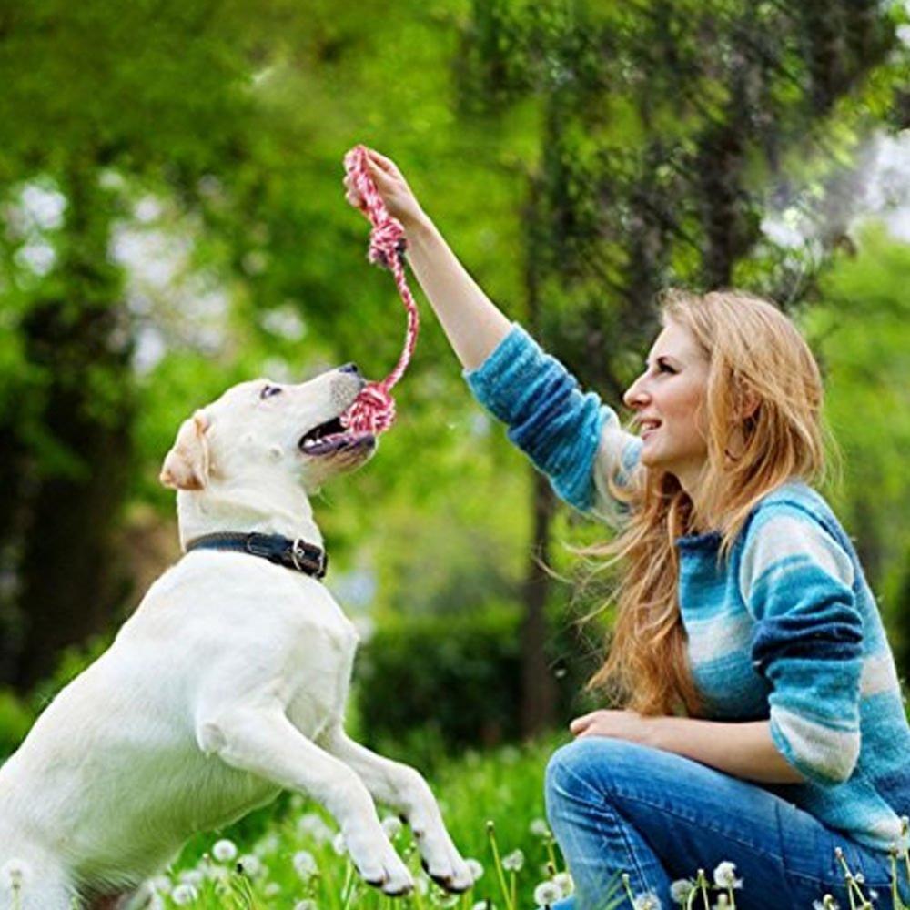 Köpek çiğnemek oyuncaklar setleri köpek oyuncak