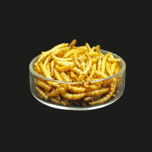 100% Natural Non-GMO Dried Mealworms