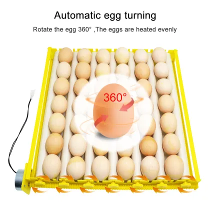 Commercial New Egg Incubator 42 Eggs Incubator with Eggs Roller Tray