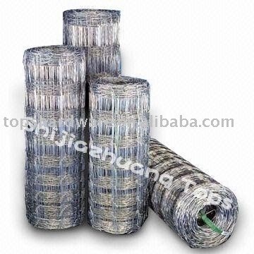 bird cage wire mesh