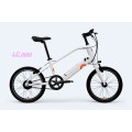 DDP Single Speed Electric Bike