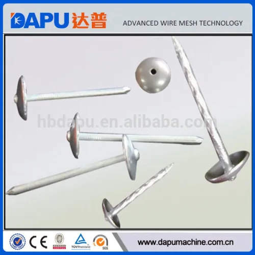 Metal Wire Nails Manufacturing Process, High Quality Metal Wire Nails