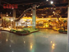 2012 Dinosaur Fossil Replicas