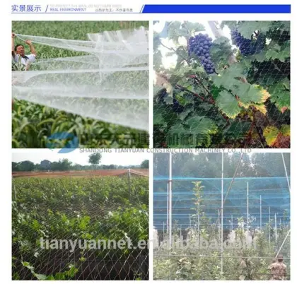 Tianyuan anti bird net