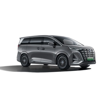 China New Energy Electric Vehicle Motor Luxury Petrol New Energy Vehicles