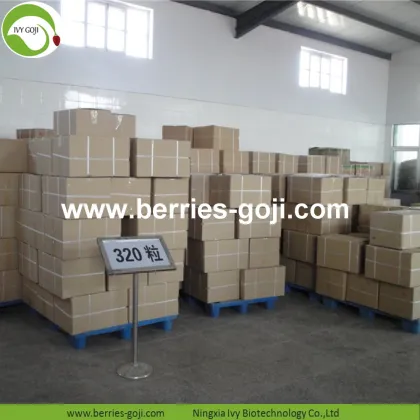 Factory Supply Fruits Bulk Sun Dry Goji Berry