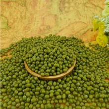 Organic Food grade Green mung beans