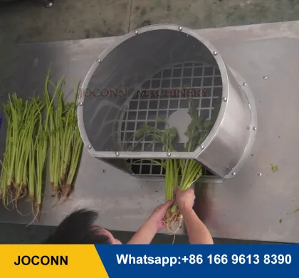 Small Celery Leaf and Stem Separating Machine | Coriander Leaf Picker | Vegetable Leaf Removing Machine