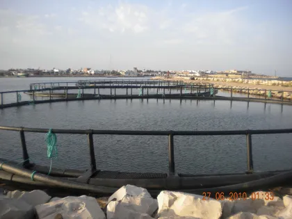 Aquaculture Circular Farming Rainbow Trout Cages