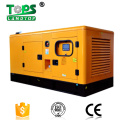 Hot Sale 10kva Perkins Engine Diesel Generator