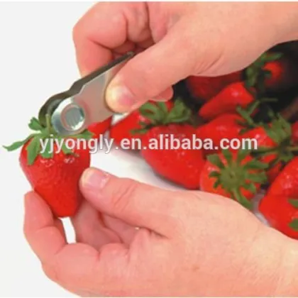Stainless steel strawberry corer/strawberry huller