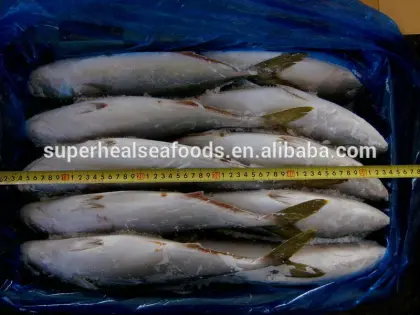 Frozen Yellow Hard Tail