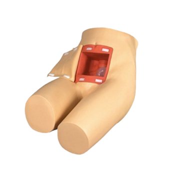 Advanced PVC Medical Training Manikin for Enema and Assisted Defecation - SC-H35