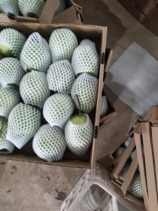 new crop shandong pear