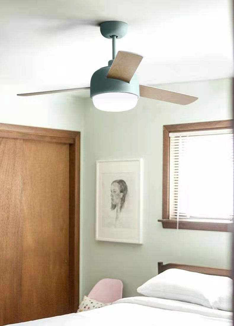 Modern fan light with remote control
