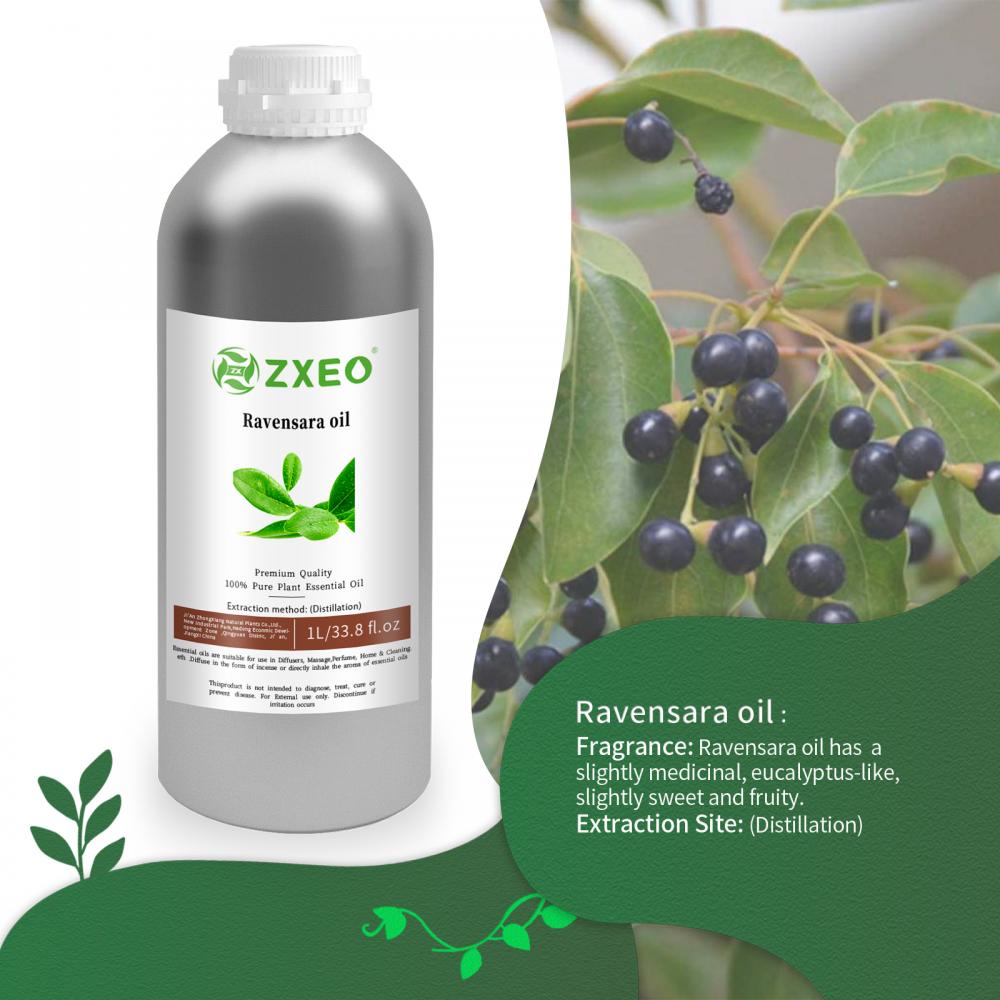 Aceite esencial de Ravensara orgánico 100% puro para la aromaterapia