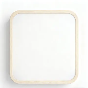 Ceiling Lamp with Color Temperature Control