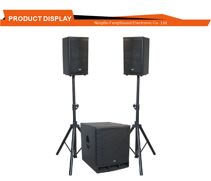 Corporate Event PA System