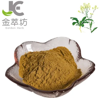factory suppy high quality radix isatidis extract powder, banlangen powder ,Indigowoad Root Extract powder