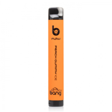 Bang Flow Disposable Vape 5% Nic disposable