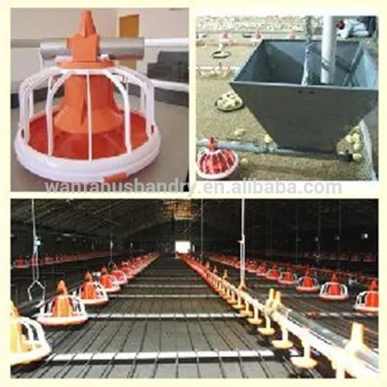 broiler poultry farm equipment automatic feeder for chickens